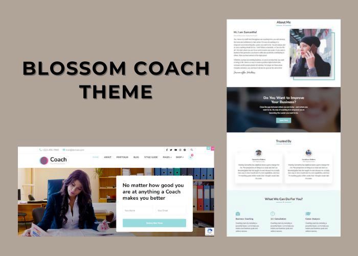 Blossom theme - texpert mentor