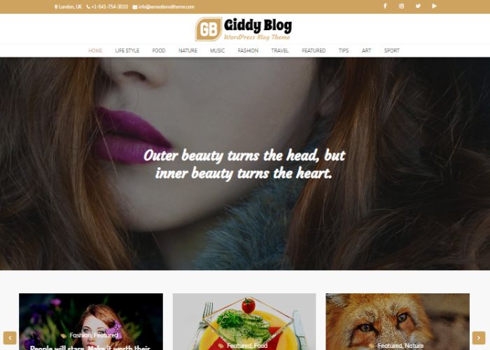 Giddy Blog Theme - Texpert Mentor